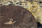 Grimes Point Petroglyphs