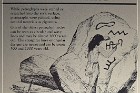 Grimes Point Petroglyphs
