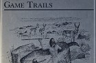 Grimes Point Petroglyphs