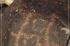 Grimes Point Petroglyphs