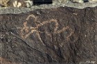 Grimes Point Petroglyphs