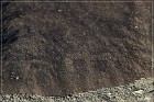Grimes Point Petroglyphs