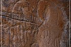 Hickison Petroglyph Site