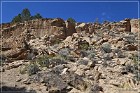 Hickison Petroglyph Site
