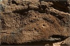 Hickison Petroglyph Site
