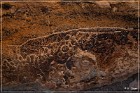 Hickison Petroglyph Site
