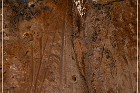 Hickison Petroglyph Site