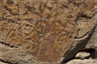 Hickison Petroglyph Site