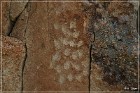 Moores Station Petroglyphs