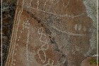 Moores Station Petroglyphs
