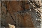 Moores Station Petroglyphs