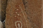Moores Station Petroglyphs