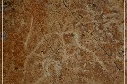 Moores Station Petroglyphs