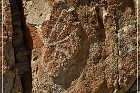 Moores Station Petroglyphs