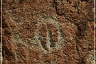Moores Station Petroglyphs