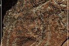 Moores Station Petroglyphs
