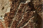 Moores Station Petroglyphs