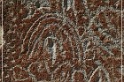 Moores Station Petroglyphs