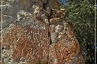Moores Station Petroglyphs