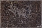 Monolith Echo Panel