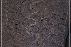 Monolith Echo Panel