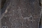Monolith Echo Panel