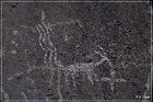 Monolith Echo Panel