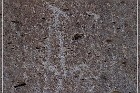 Monolith Echo Panel