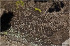 Paiute Rocks Area