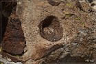 Paiute Rocks Area