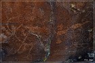 Paiute Rocks Area