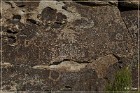 Paiute Rocks Area
