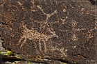 Shaman Knob und Shaman Hill