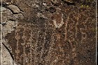 Shaman Knob und Shaman Hill