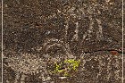 Shaman Knob und Shaman Hill