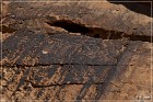 Whitney Pocket Petroglyphs