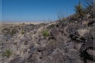 Alamo Mountain Petroglyphs
