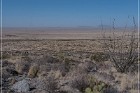 Alamo Mountain Petroglyphs