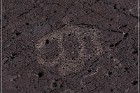 Alamo Mountain Petroglyphs