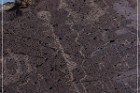 Alamo Mountain Petroglyphs