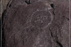 Alamo Mountain Petroglyphs