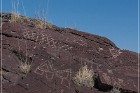 Alamo Mountain Petroglyphs
