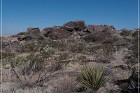 Alamo Mountain Petroglyphs