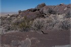 Alamo Mountain Petroglyphs