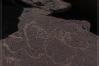 Alamo Mountain Petroglyphs