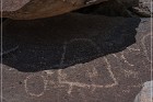 Alamo Mountain Petroglyphs