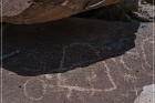 Alamo Mountain Petroglyphs