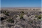 Alamo Mountain Petroglyphs