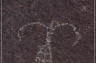 Alamo Mountain Petroglyphs