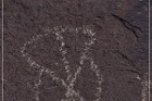 Alamo Mountain Petroglyphs